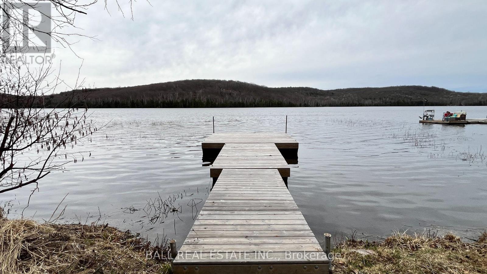 294 ALBION LAKE DRIVE - photo 5