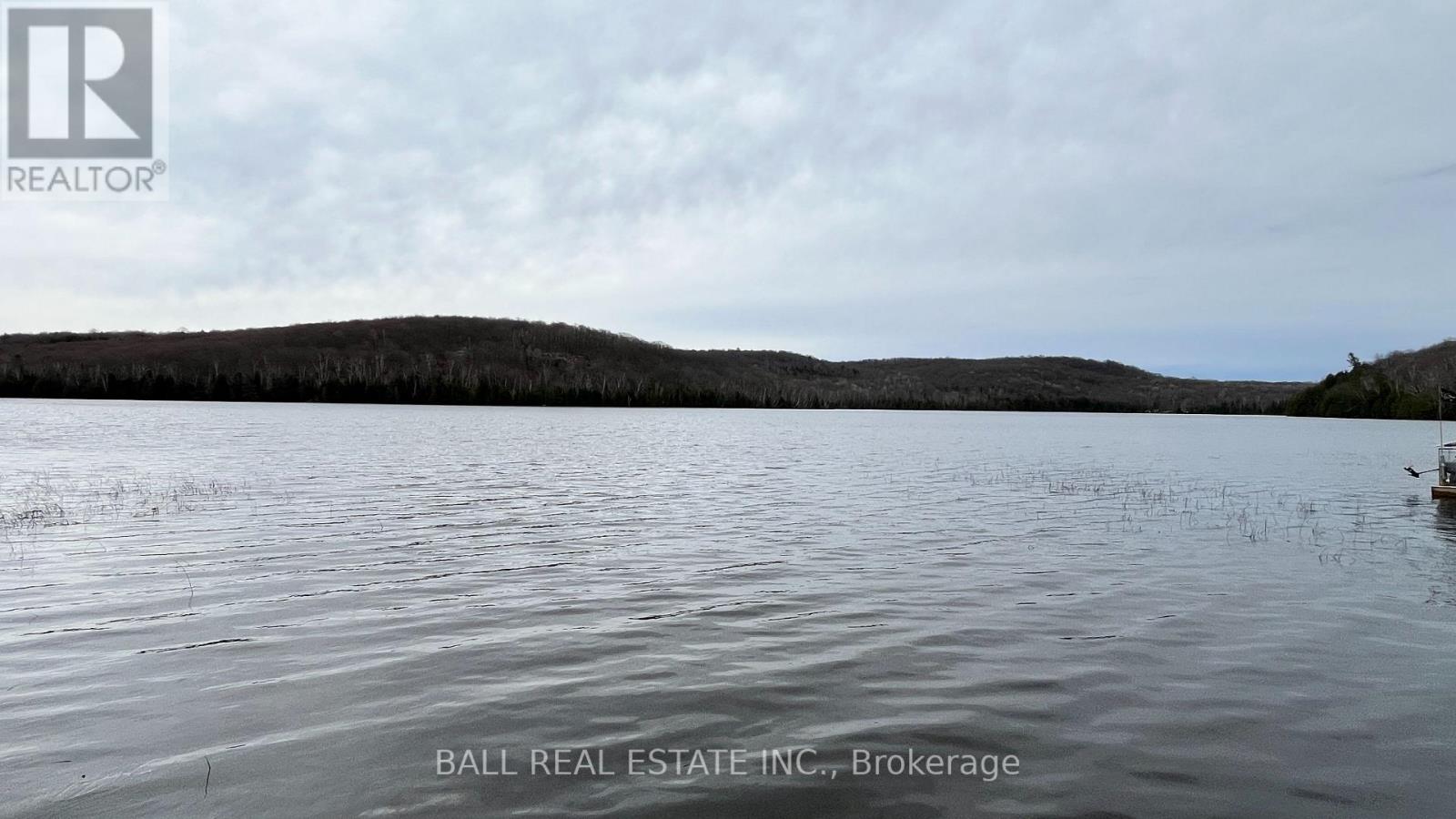 294 ALBION LAKE DRIVE — photo 6