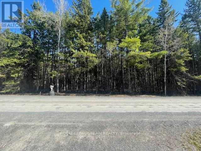 10549 LOUGHLIN RIDGE ROAD - photo 2