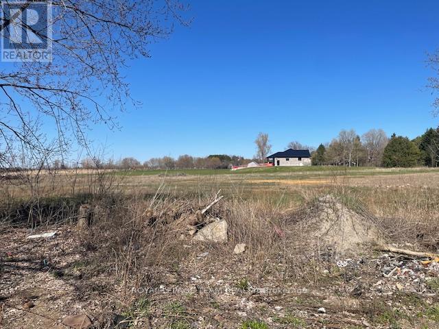 10549 LOUGHLIN RIDGE ROAD - photo 4