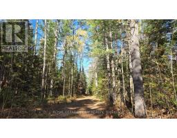00 (31253) Highway 41 Highway, Bonnechere Valley, ON K0J1T0 Photo 15