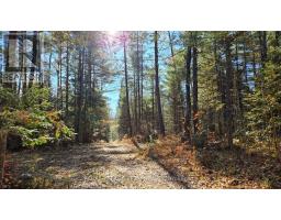 00 (31253) Highway 41 Highway, Bonnechere Valley, ON K0J1T0 Photo 16