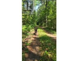 00 (31253) Highway 41 Highway, Bonnechere Valley, ON K0J1T0 Photo 14