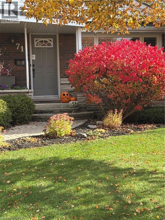fall