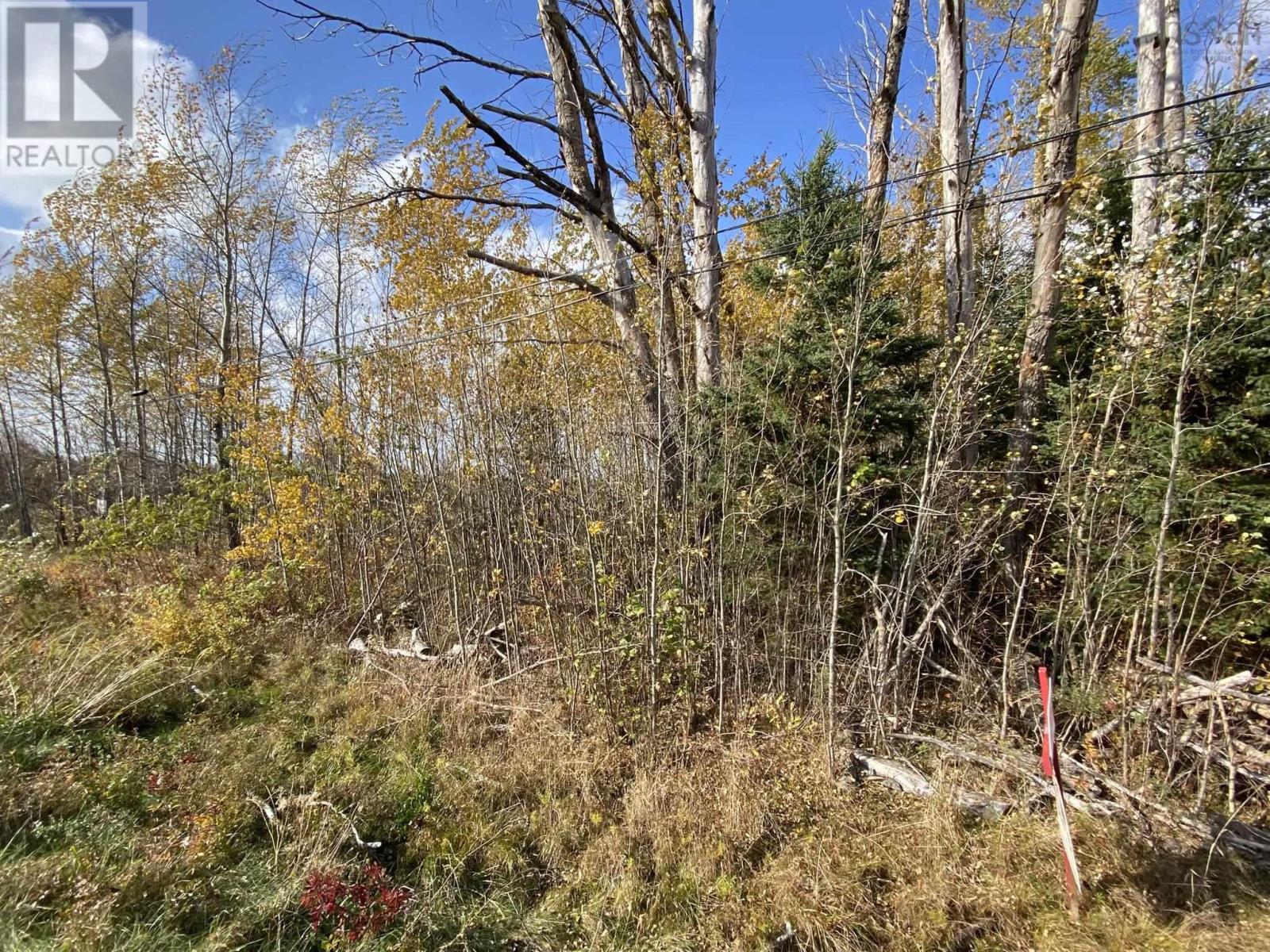 Property 3 of 5 of Lot 3a Highway 215