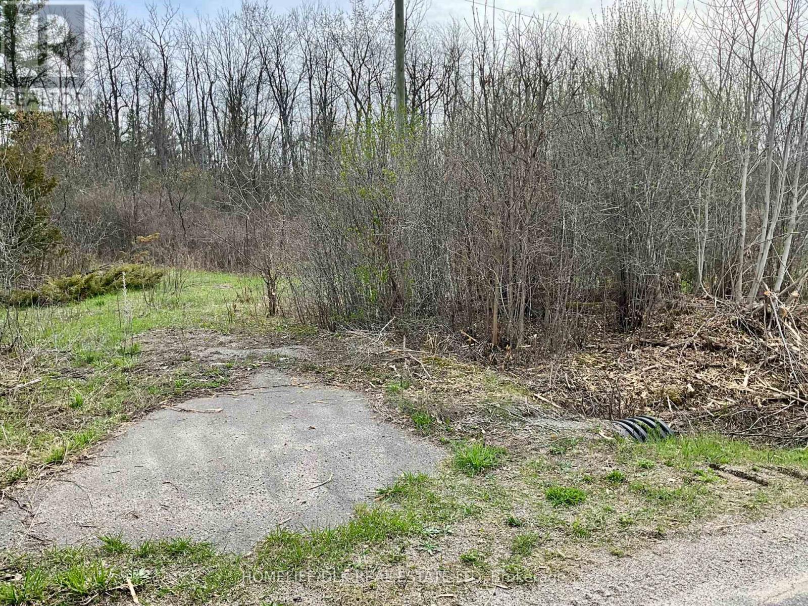 0 HENDRY SIDE ROAD — photo 9