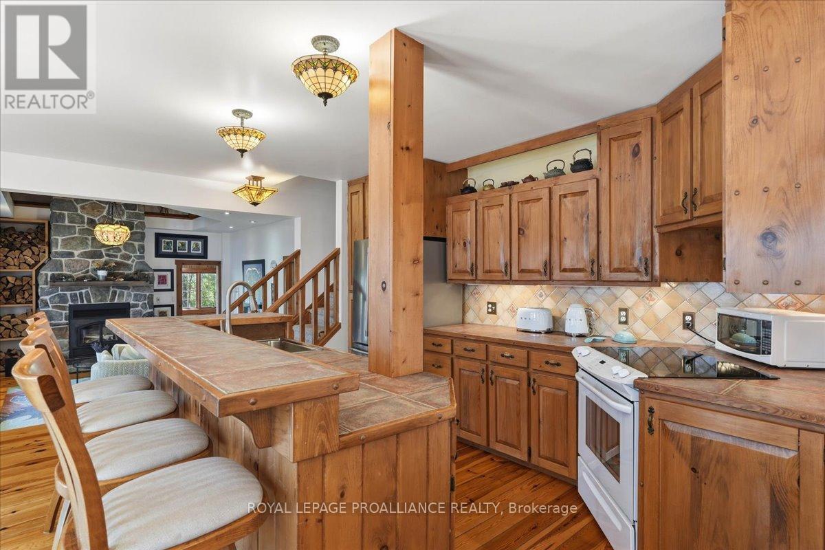 1421 TURTLE LAKE LANE - photo 5