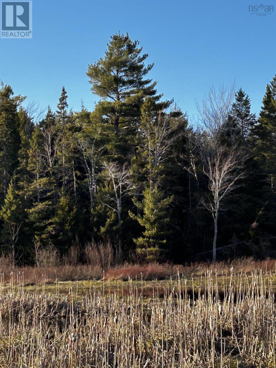 Property 2 of 9 of Lot EAN-1B West Tatamagouche Road