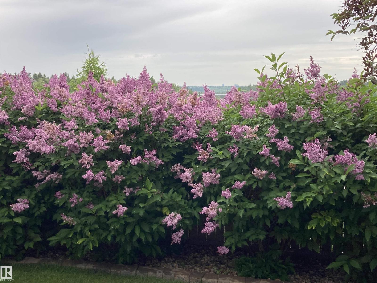 #12 577 BUTTERWORTH WY NW, Edmonton