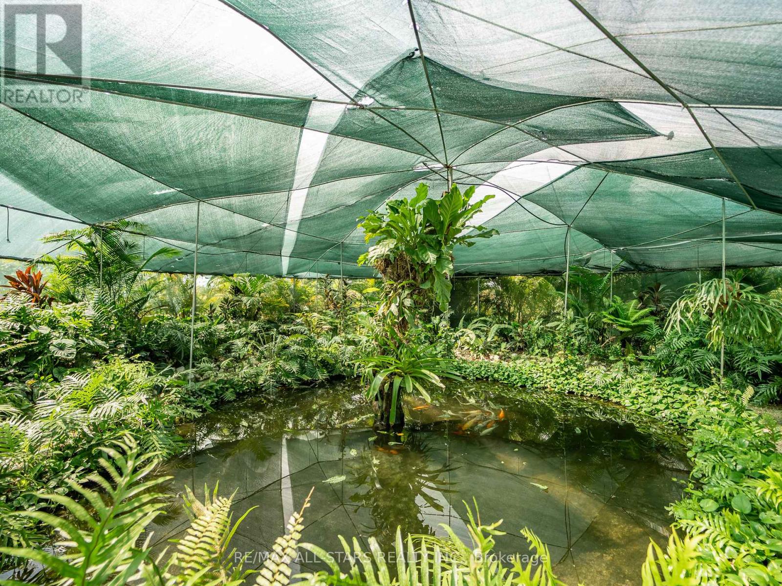 CASA KOI C. COBANO ROAD - 30