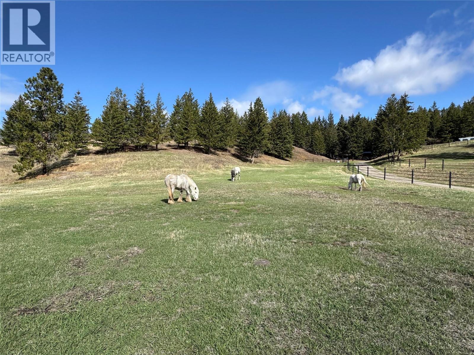 4205 Kristianson Road - 8