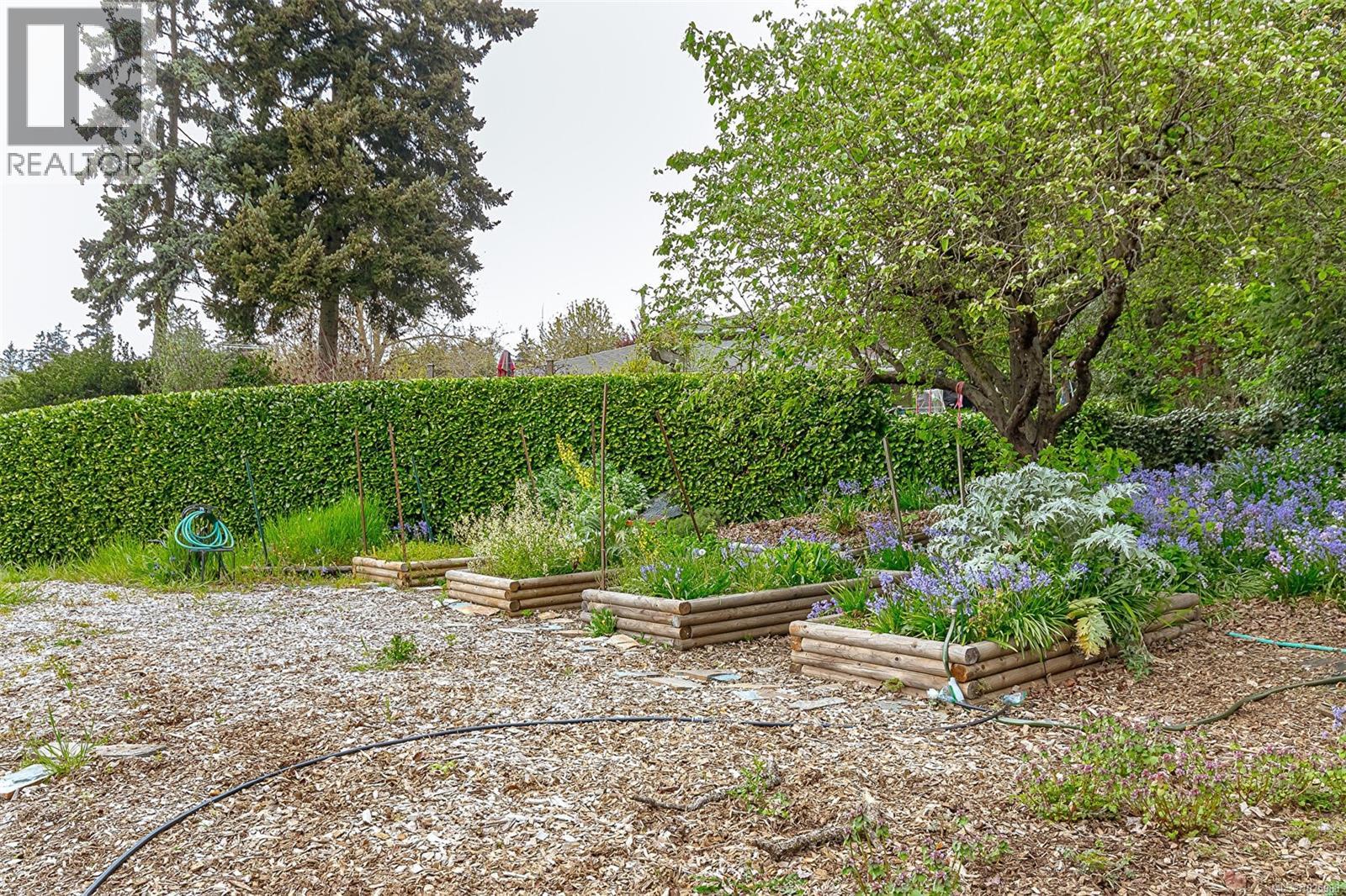  3711 Grange Road, Saanich