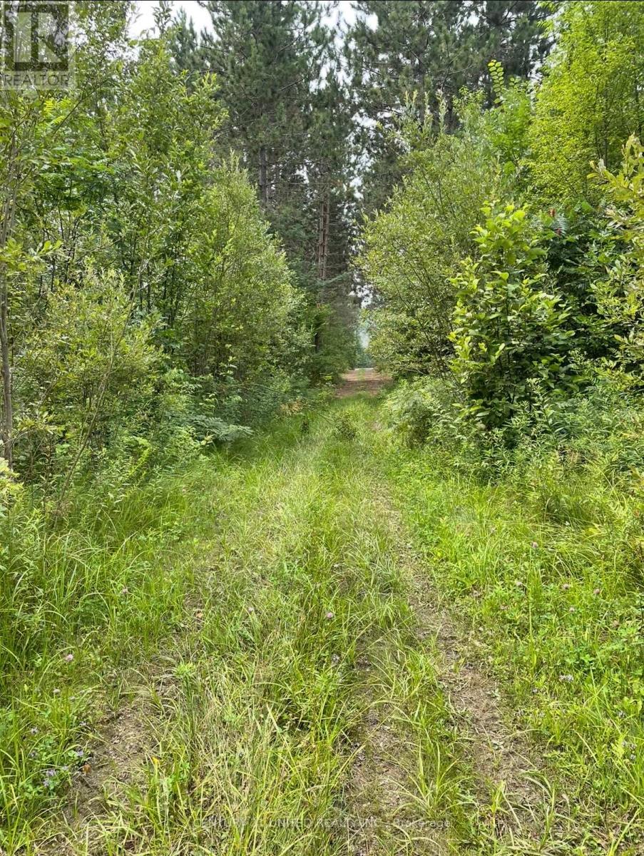 0 GOVERNMENT ROAD - photo 4
