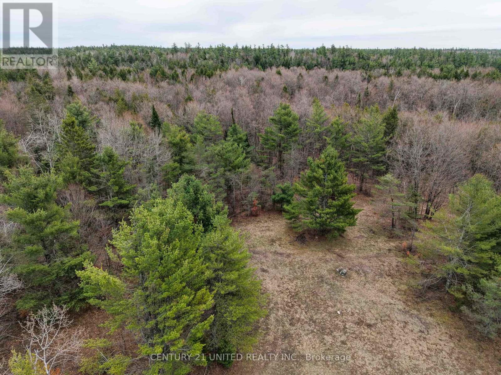 9559 HWY 28 — photo 12