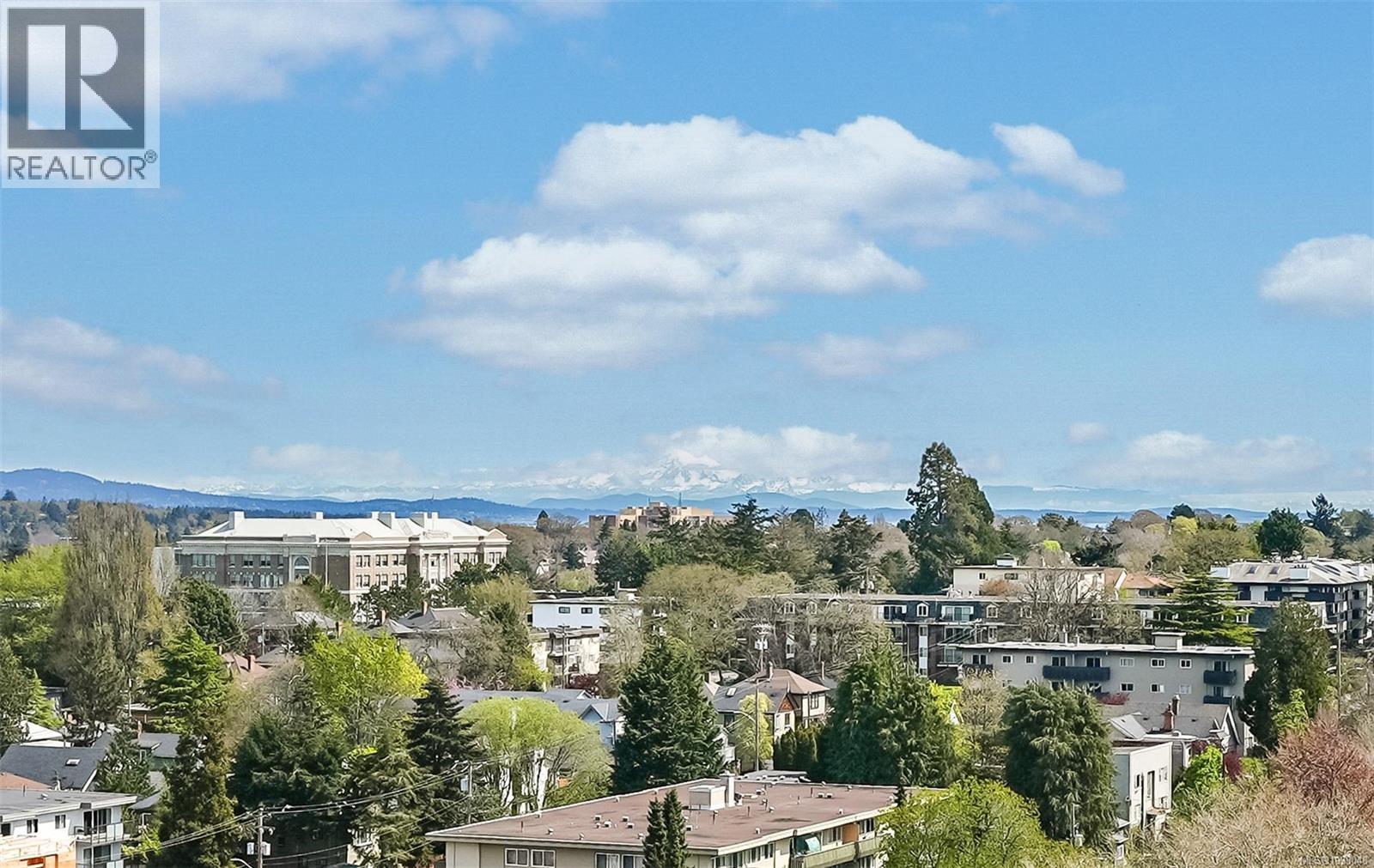 #501 1015 Pandora Ave - 19