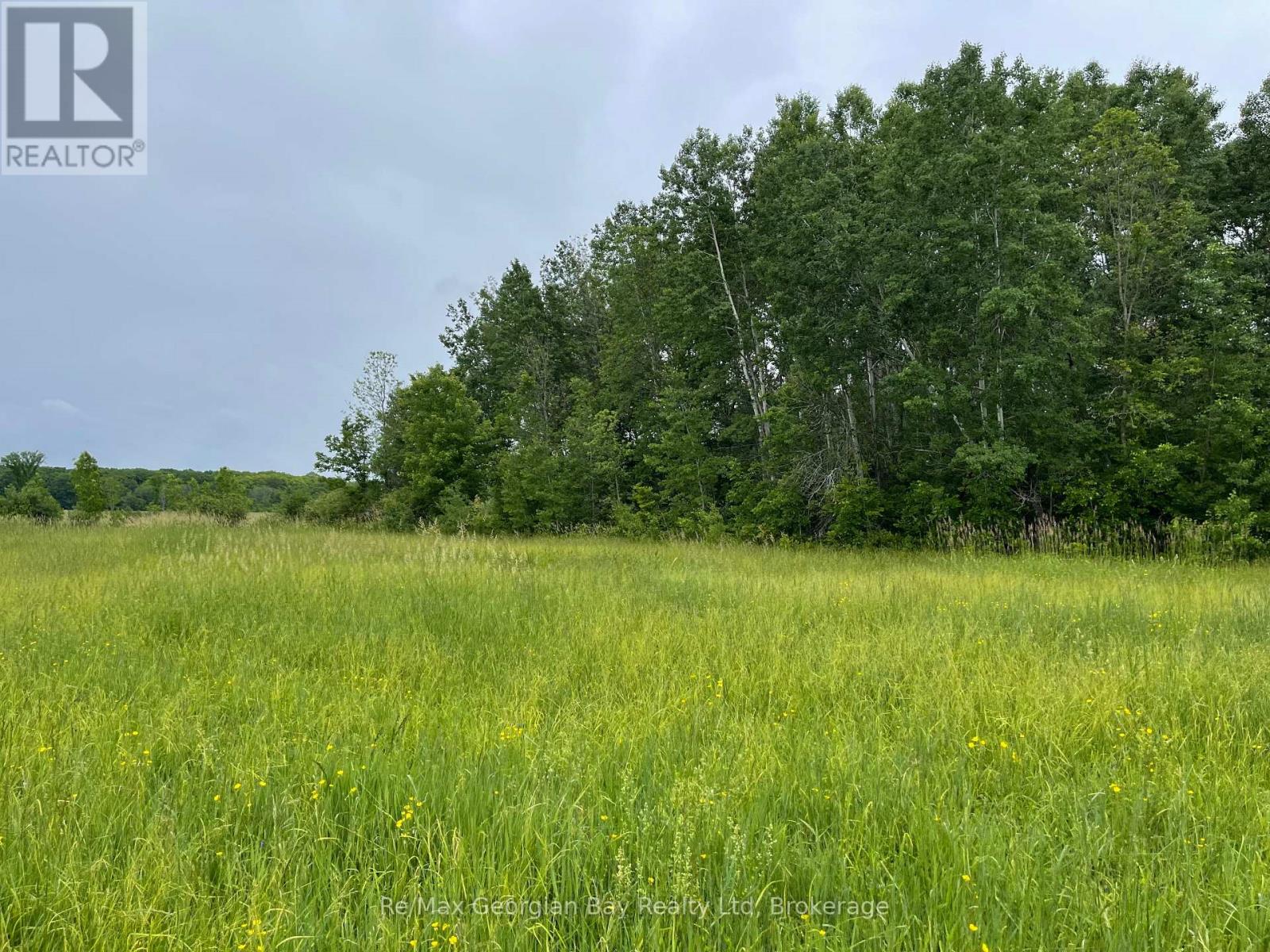 1744 BALKWILL LINE — photo 12