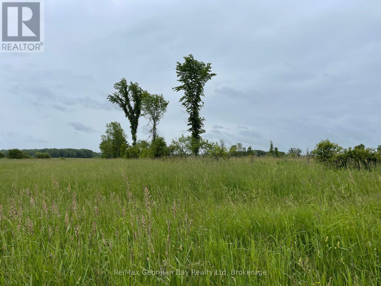 1744 BALKWILL LINE — photo 13