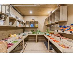 9734 Highway 118 W, Algonquin Highlands, ON K0M1J2 Photo 19