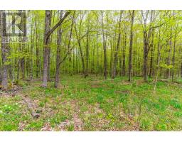 9734 Highway 118 W, Algonquin Highlands, ON K0M1J2 Photo 16