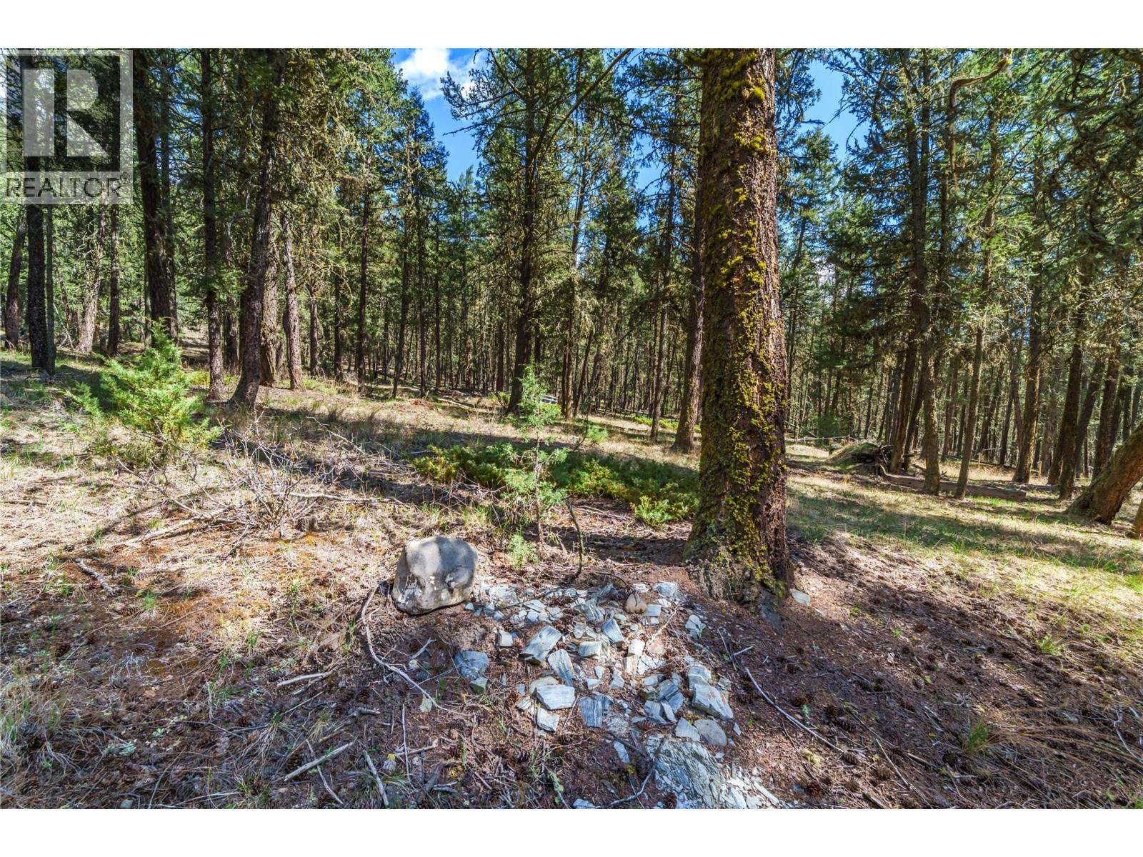 6696 Cariboo Highway 97 - 15