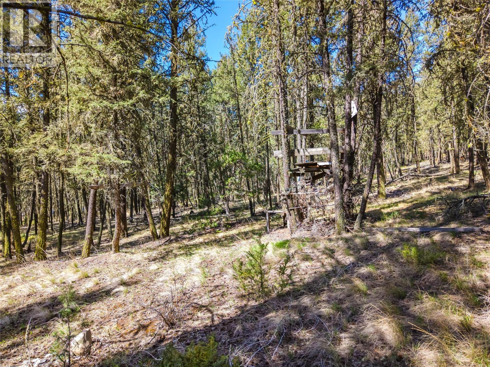 6696 Cariboo Highway 97 - 20
