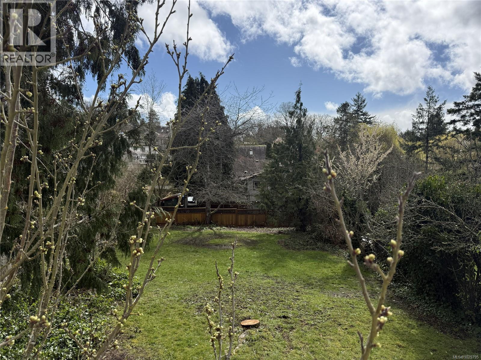 3364 Cook St - 4
