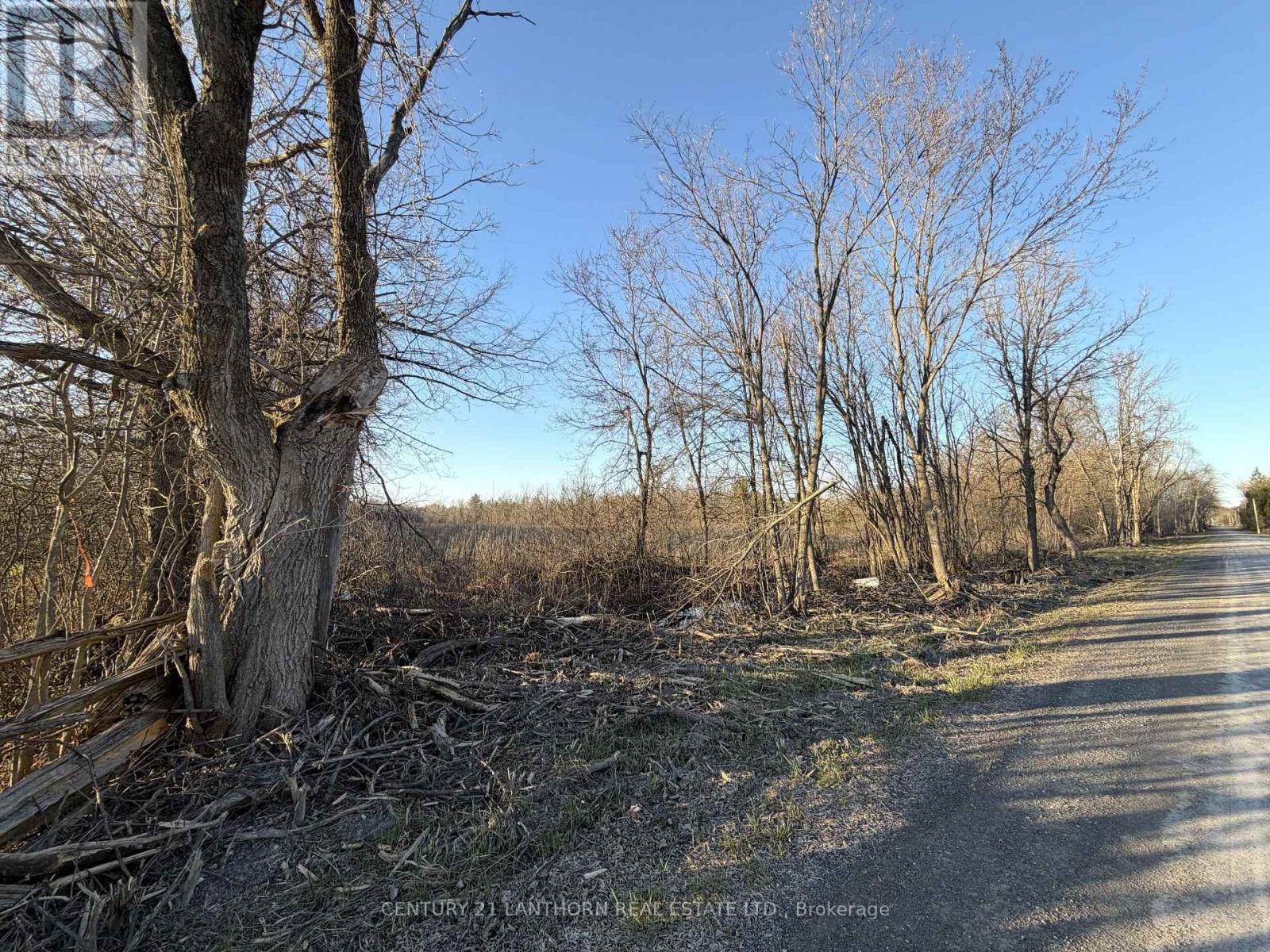 0 REID SETTLEMENT ROAD - photo 4