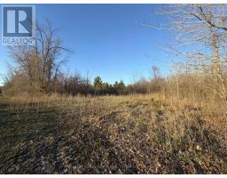 0 Reid Settlement Road, Centre Hastings, ON K0K2K0 Photo 6