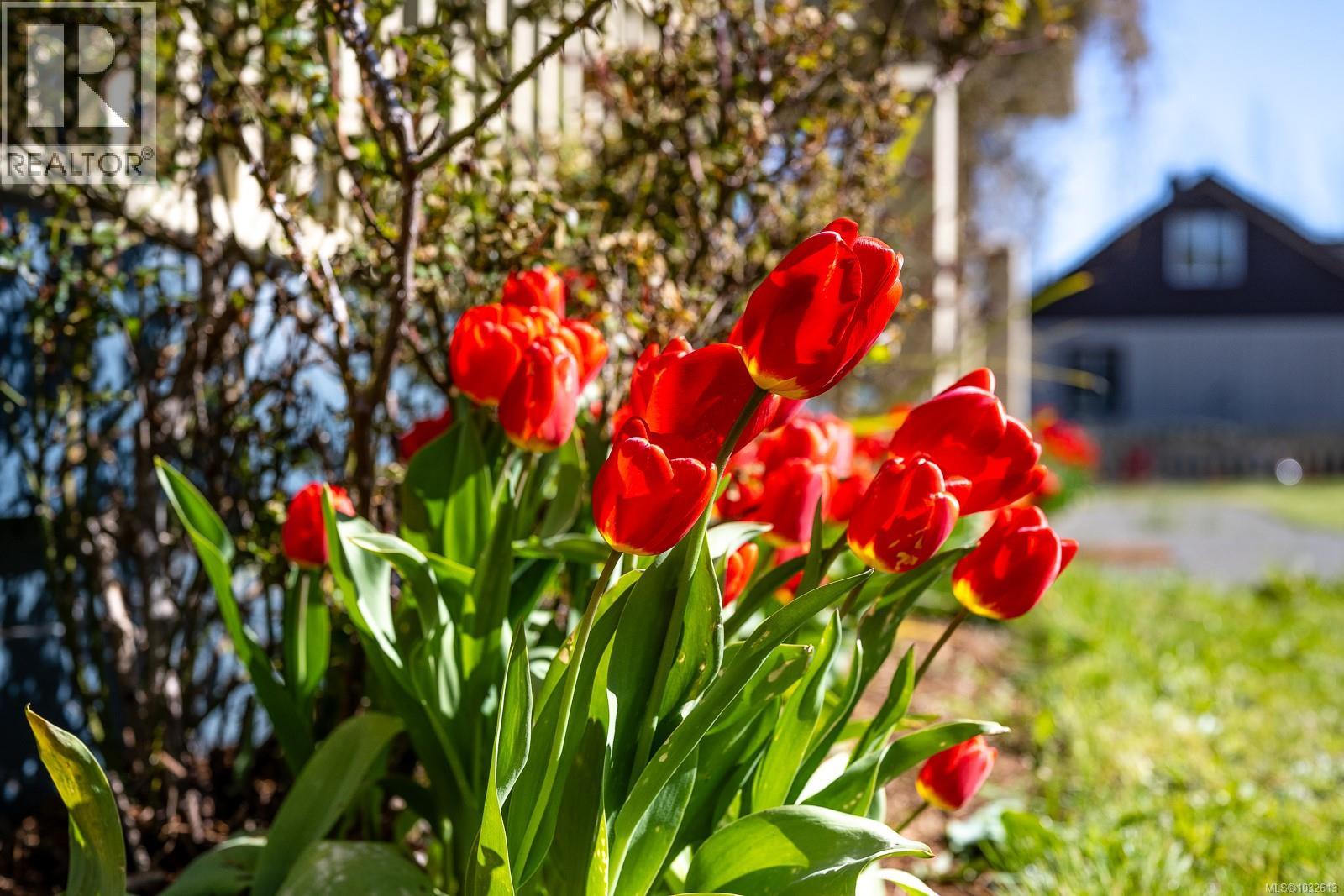 3397 Lake Trail Rd - 54