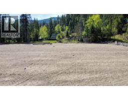 Lot 3 Shields Beach, Robson, BC V0V0V0 Photo 42