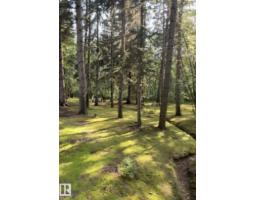 14 Wedgewood Cr Nw Nw, Edmonton, AB T6M2N4 Photo 10