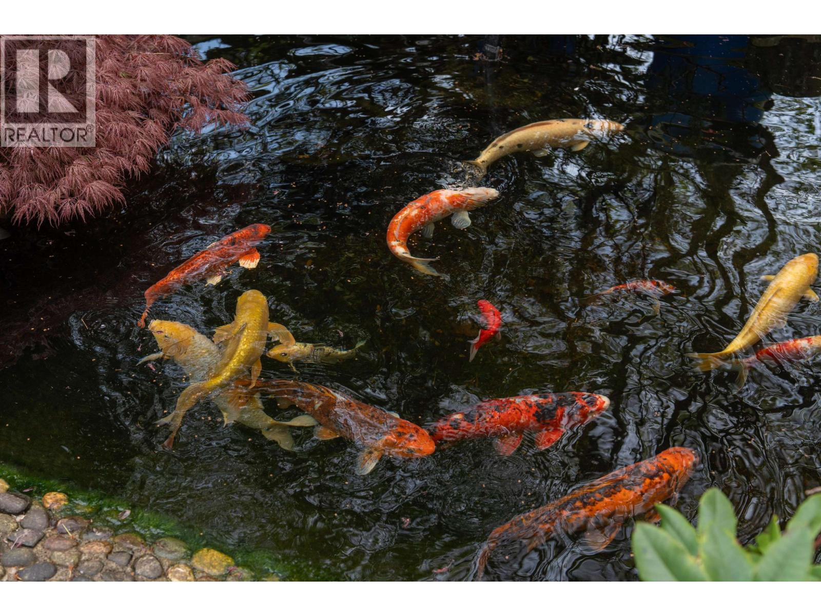 5686 CORNWALL Place, Richmond