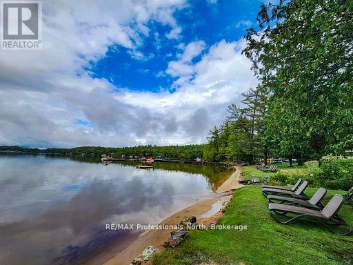 SANDFIELD 2, WEEK 10 - 3876 MUSKOKA ROAD 118 - Image 3