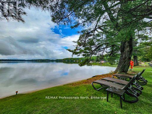 SANDFIELD 2, WEEK 10 - 3876 MUSKOKA ROAD 118 - Image 5
