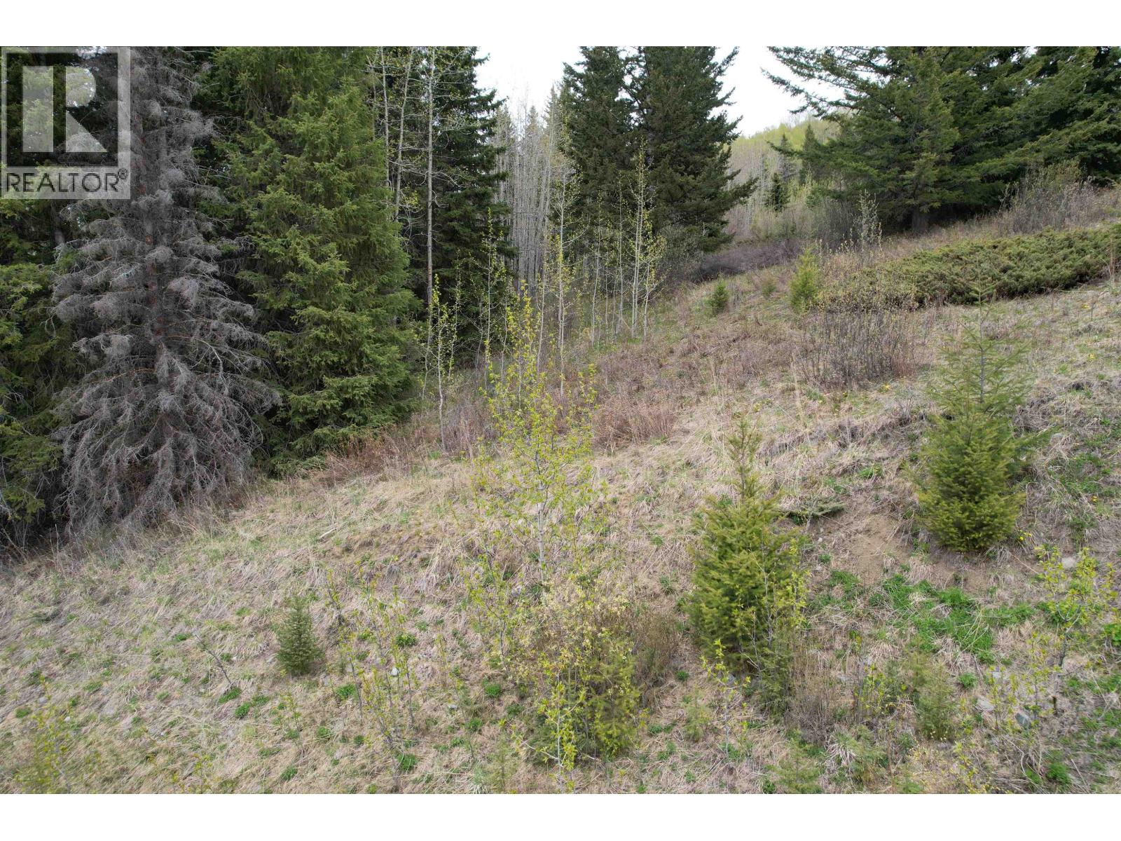 LOT 24 COTTAGE Lane, Bridge Lake - Image 1