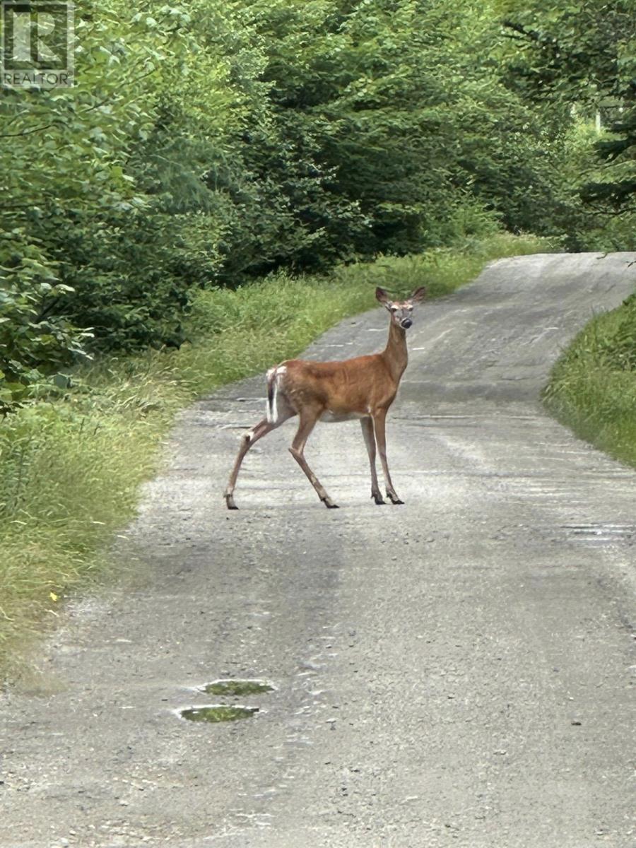 Property 33 of 43 of 616 Lac A Pic Road