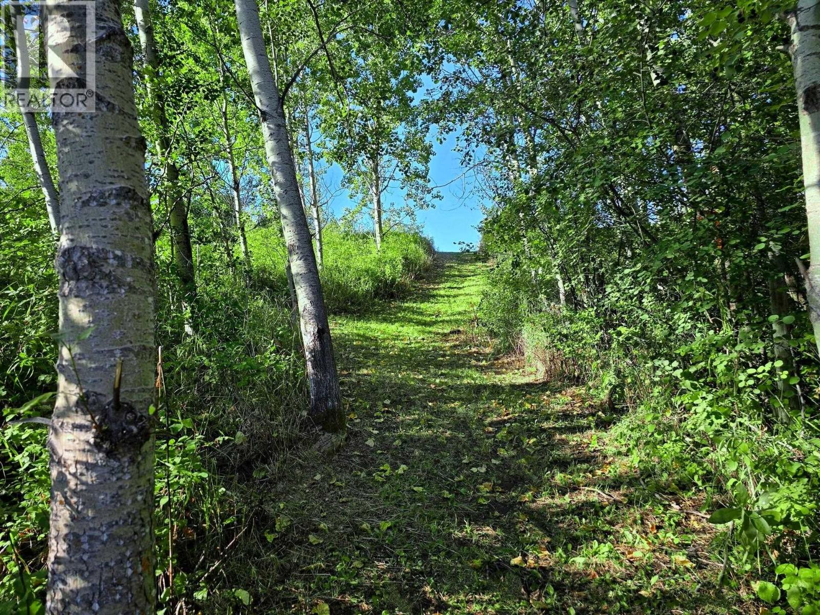 4256 SPUR ROAD, Williams Lake