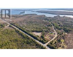6369 Highway 35, Kawartha Lakes, ON K0M1K0 Photo 9