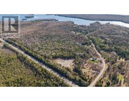 6369 Highway 35, Kawartha Lakes, ON K0M1K0 Photo 12
