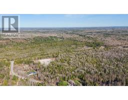 6369 Highway 35, Kawartha Lakes, ON K0M1K0 Photo 10