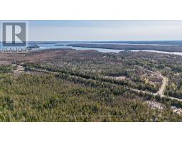 6369 Highway 35, Kawartha Lakes, ON K0M1K0 Photo 6