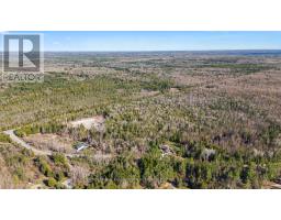 6369 Highway 35, Kawartha Lakes, ON K0M1K0 Photo 11