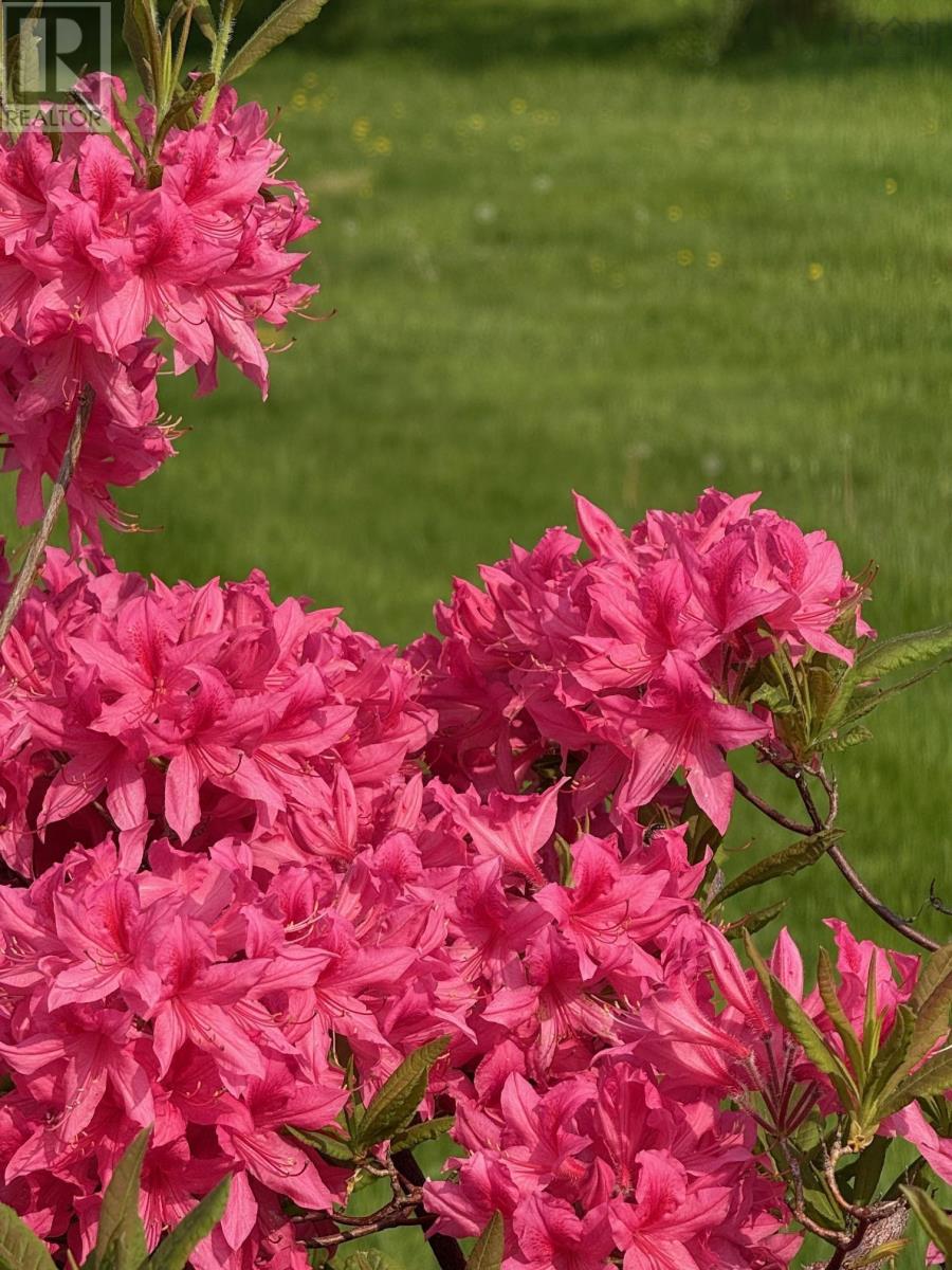 Property 35 of 49 of 2865 West Big Intervale Road