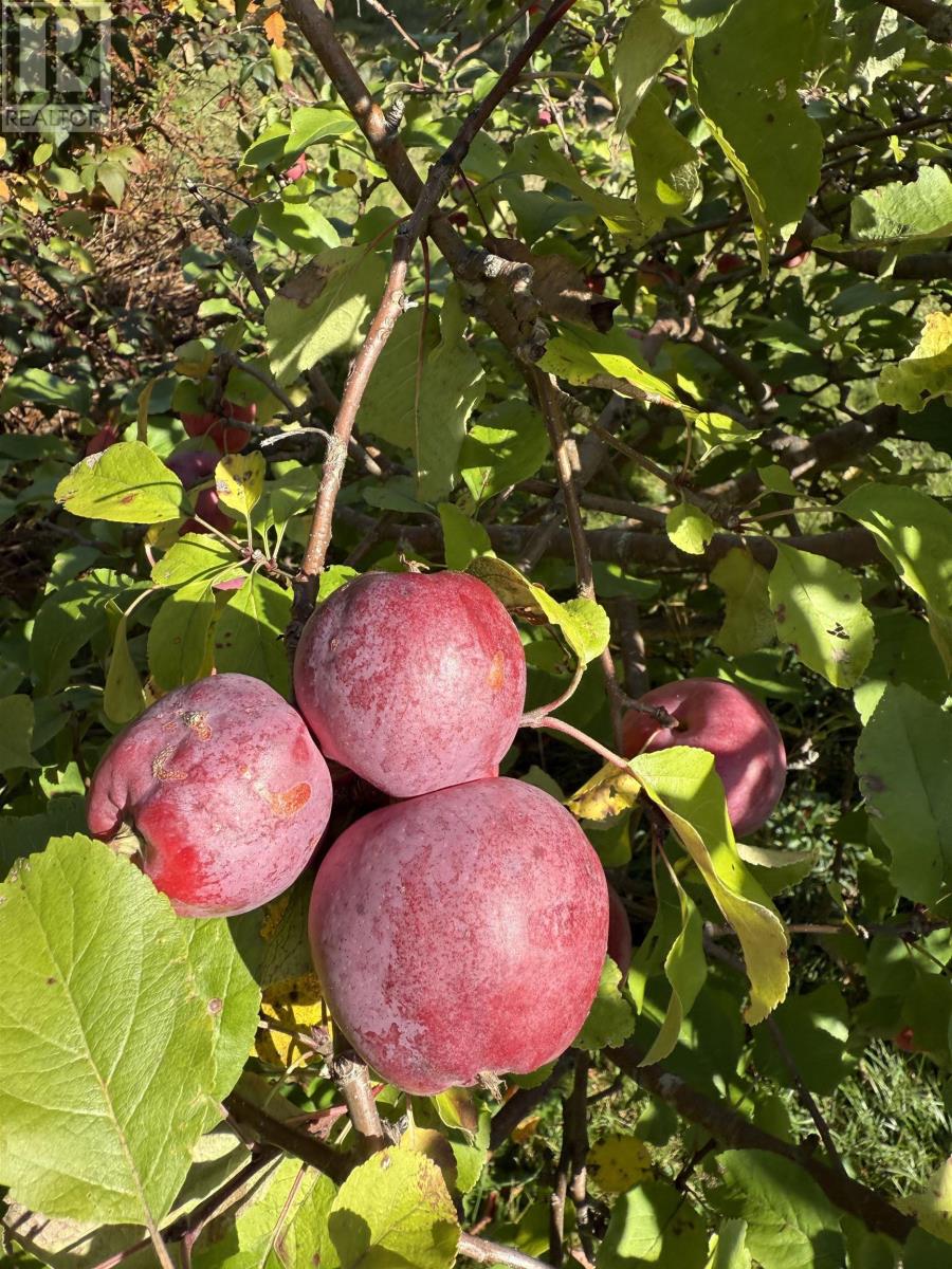 Property 37 of 49 of 2865 West Big Intervale Road