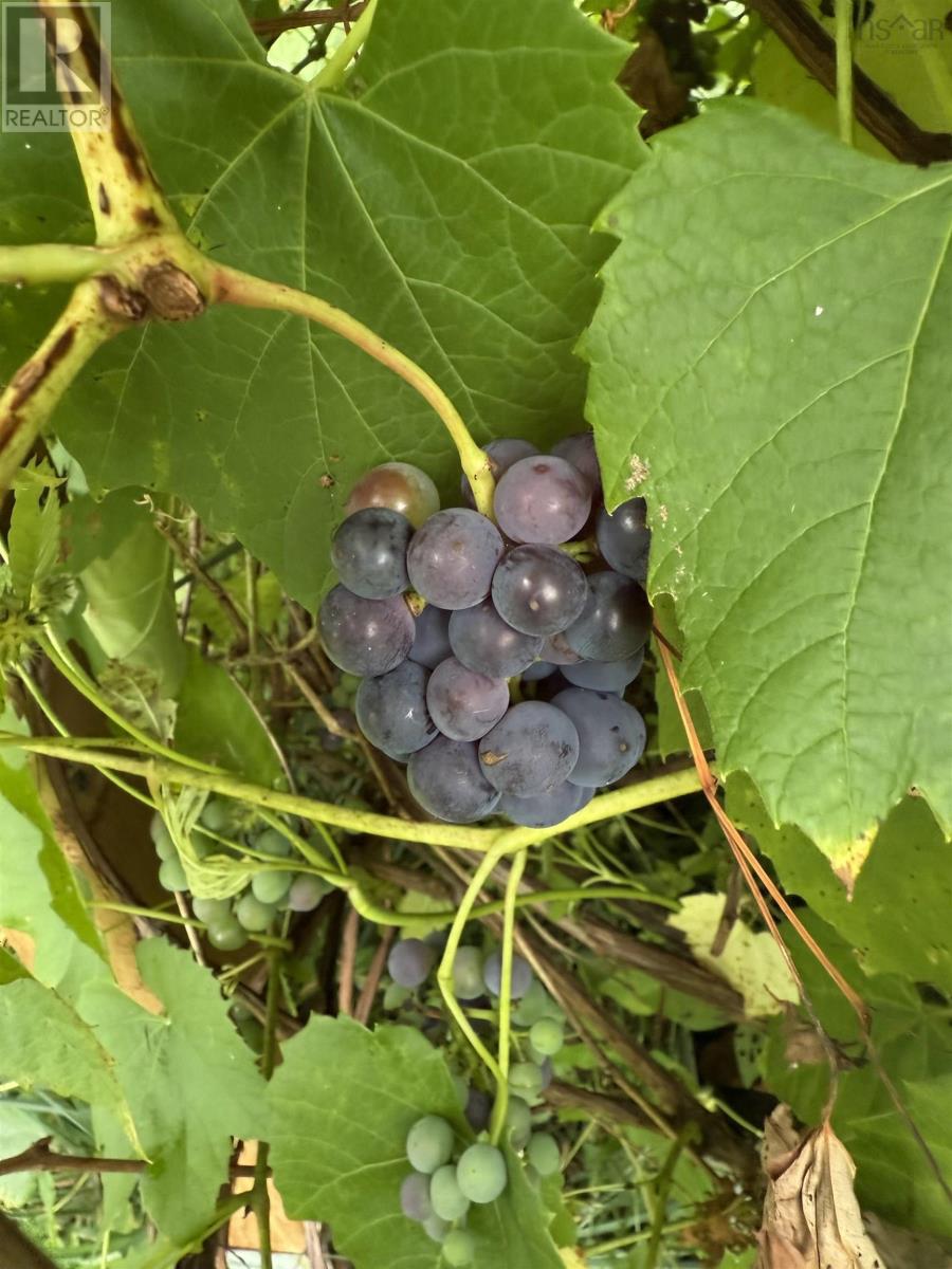 Property 38 of 49 of 2865 West Big Intervale Road