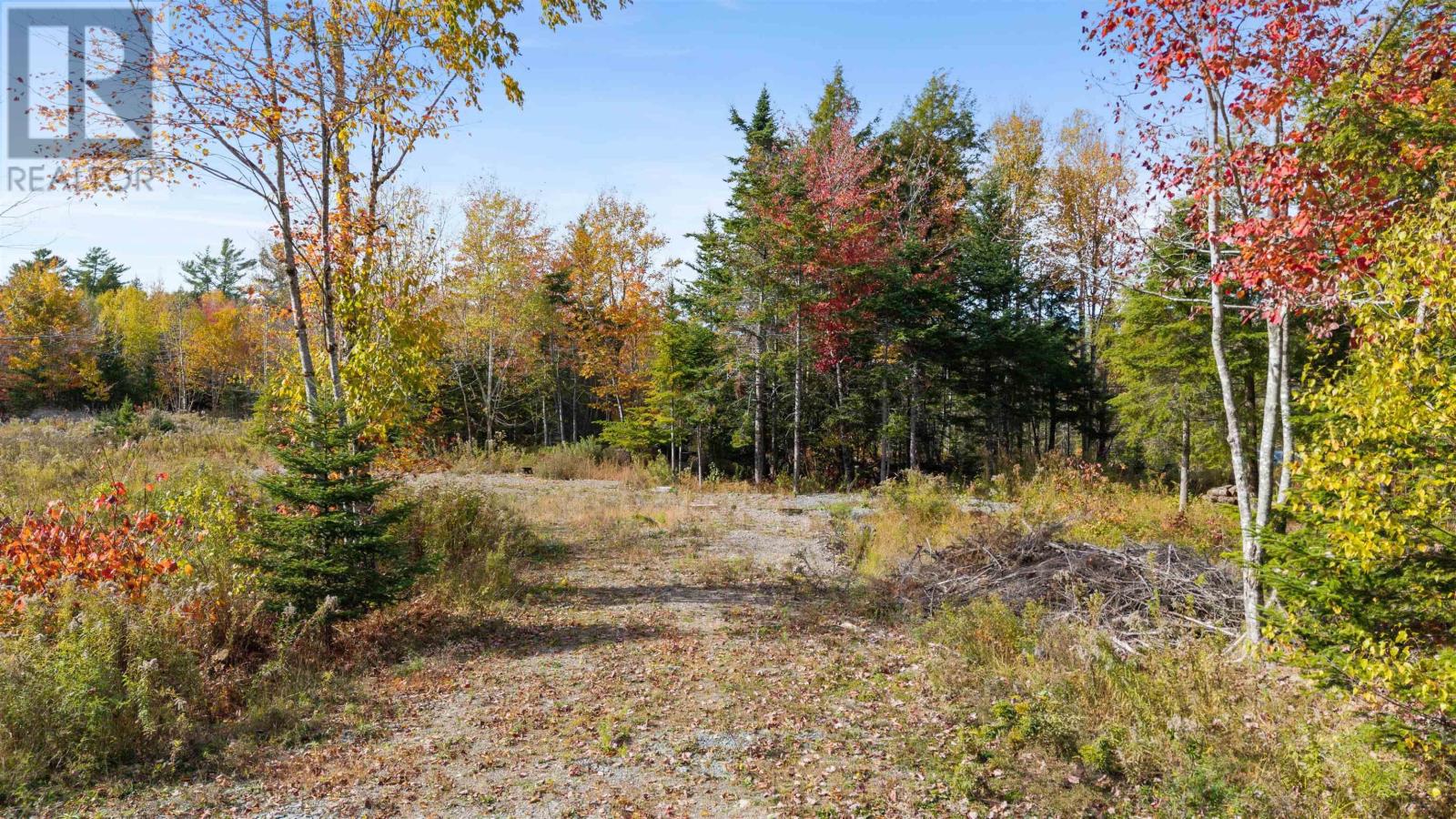 Property 10 of 13 of 539 Cooks Brook Road