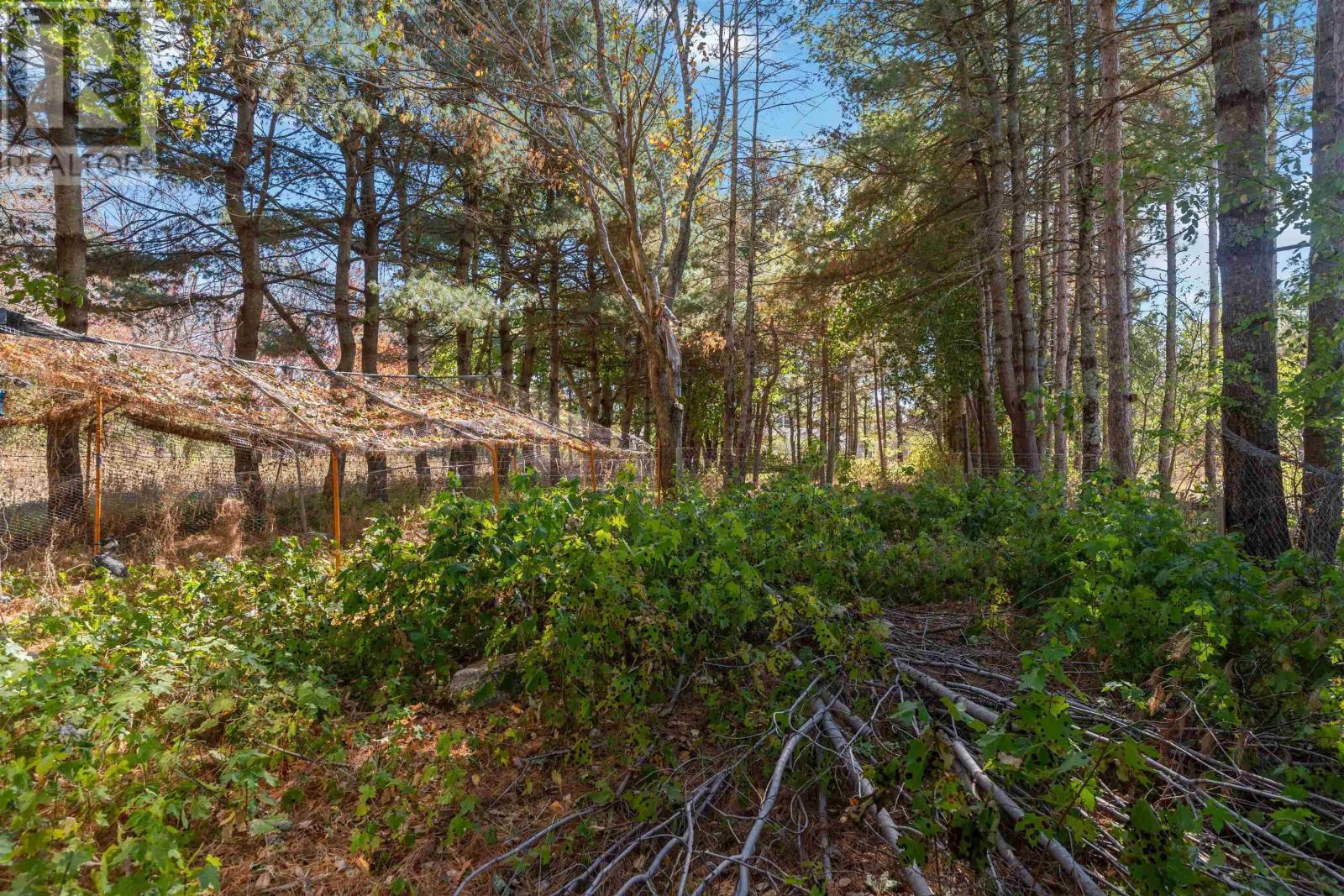 9387 Highway 10 - 27