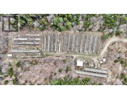1253 Hilltown Road, Hilltown, NS B0W3T0 Photo 7