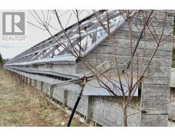 1253 Hilltown Road, Hilltown, NS B0W3T0 Photo 19
