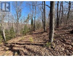 Lot 1 Foymount Road, Bonnechere Valley, ON K0J1W0 Photo 11